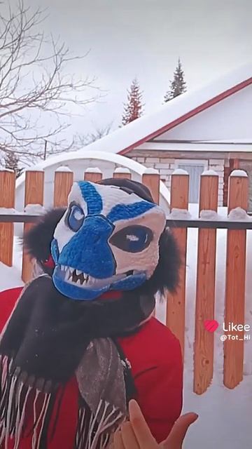 Котики ♡♡♡♡