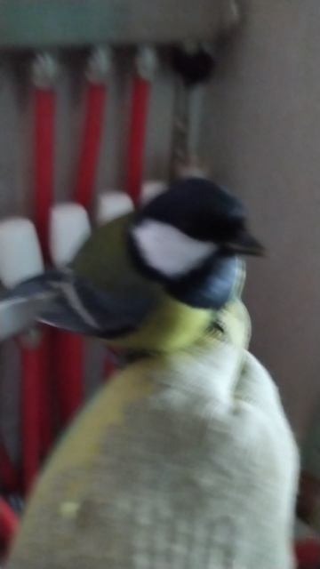 8044c6d208e51460e1956a632ec1e9d9