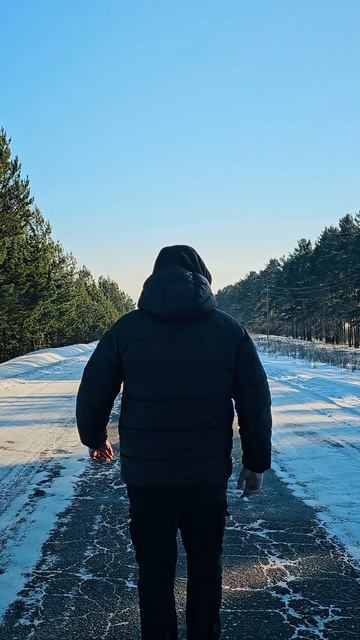 Посёлок в сосновом лесу 