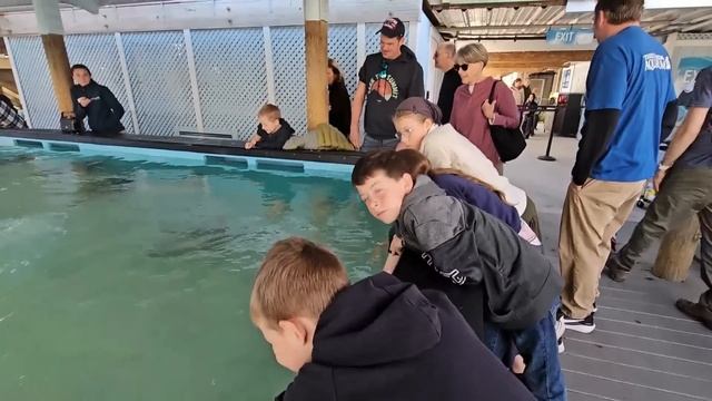 #389 Did You Know You Could See Manatees & Stingrays For Free? 16.02.2026