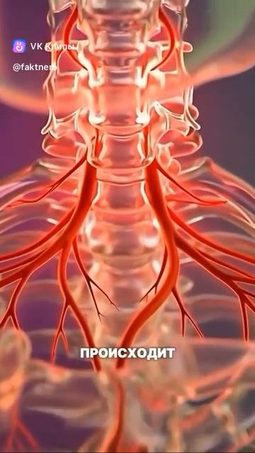 Что будет с телом если ходить в баню