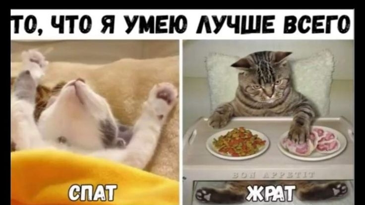 50430ee4b670fccbcbf33c5775e42f86