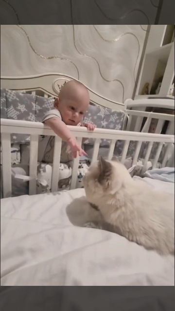 «Первое притяжение»