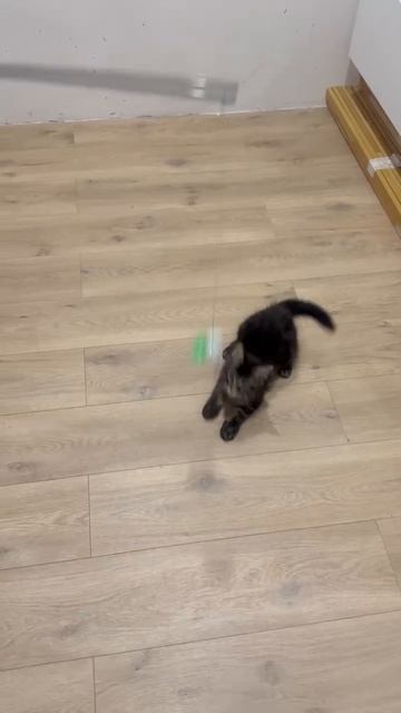 Натан (Ликан) Гранд Майер