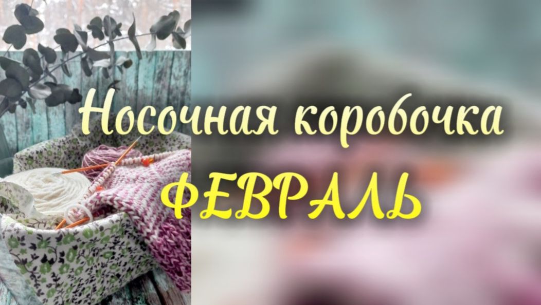 Февраль. Отчёт в СП Носочная коробочка.