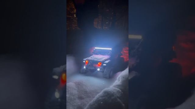 RC трофи модель 1:10,новогодний выезд