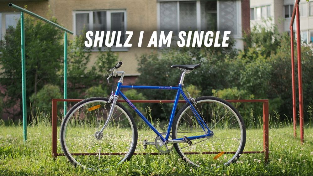Мнение о велосипеде Shulz I Am Single