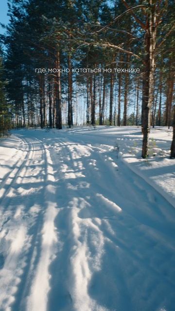 Уникальный загородный посёлок в Красноярске 