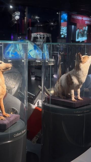 Круглый стол по популяризации космонавтики среди молодежи.