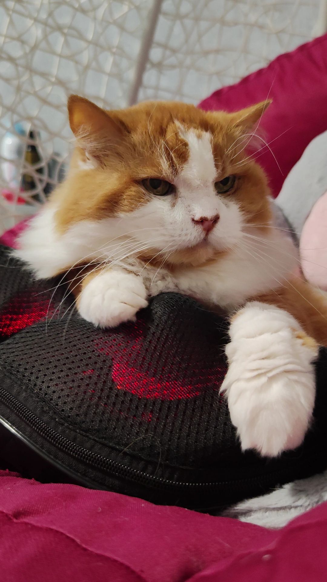 Массажёр BOGGE ZenNeck