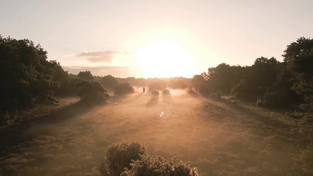 Земля От Государства_Добро пожаловать!