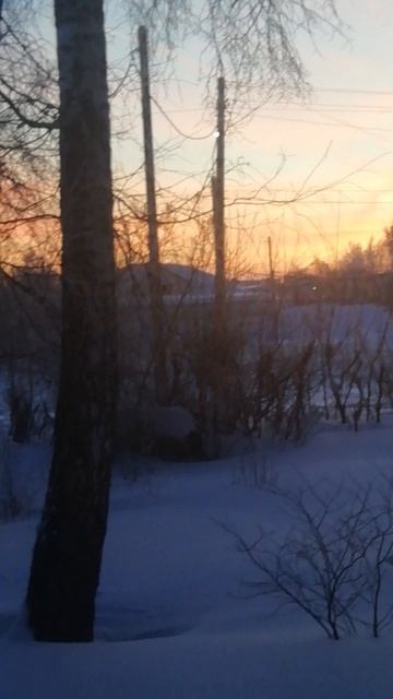 VID_20260218_072706.mp4