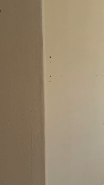 Video-18-02-26-02-48