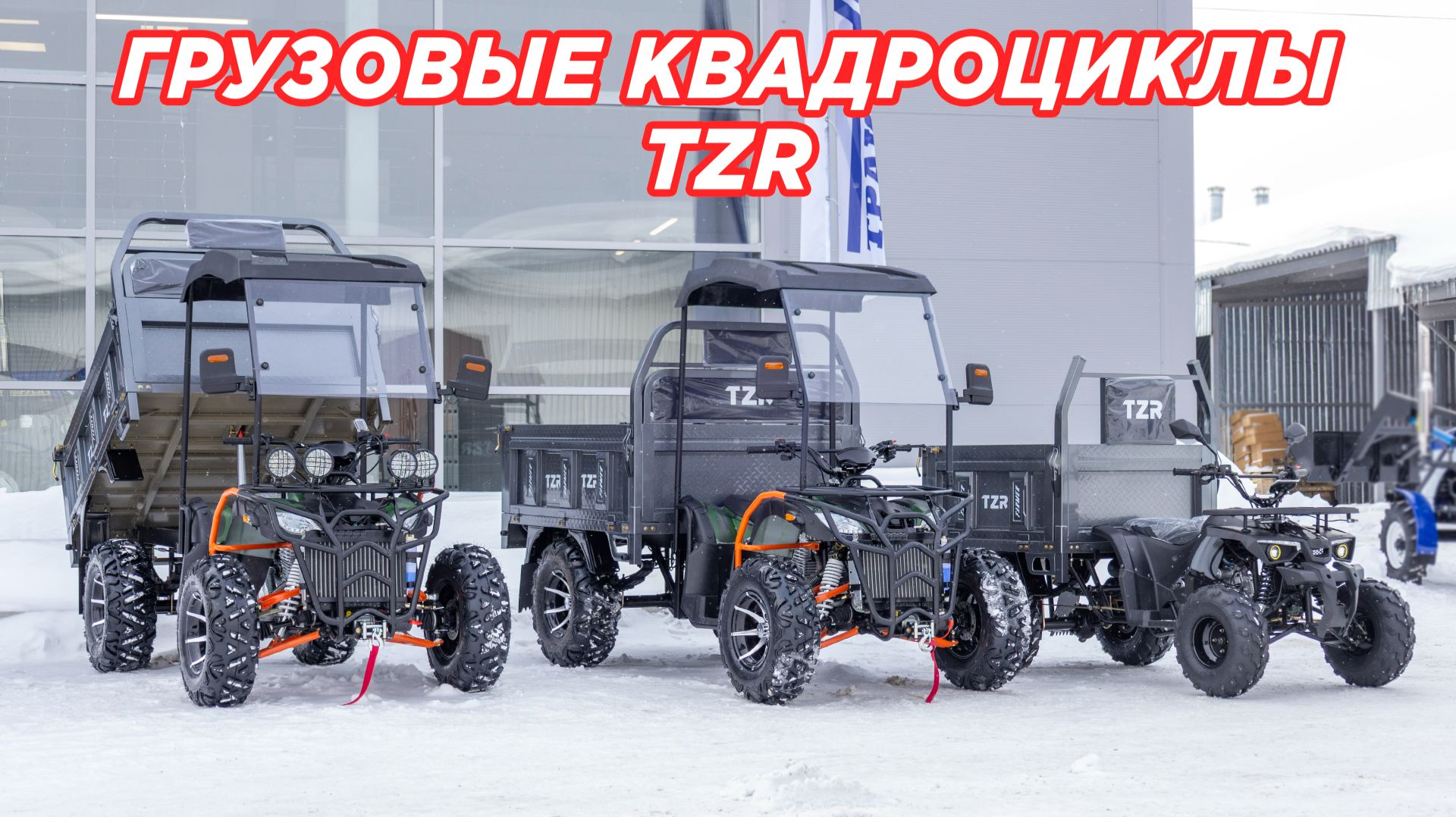 Грузовой квадроцикл: TZR-300 или TZR-0200? Полный разбор линейки