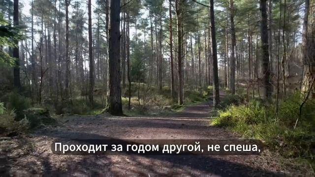 А мама ждет..._ Песня, от которой невозможно сдержать слёз _ А ты давно звонил маме_HD.mp4