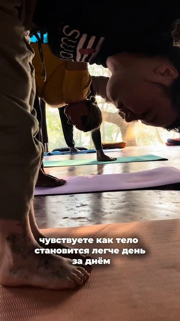 Панчакарма для вас#аюрведа #панчакарма