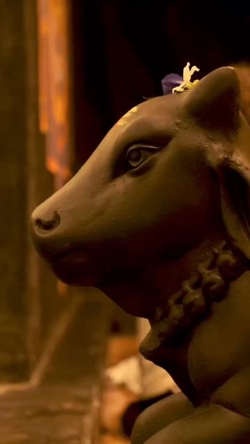 Йога и Аюрведа, это то что нужно! ГОА, ИНДИЯ SWAN Yoga и Ayurveda Retreat.