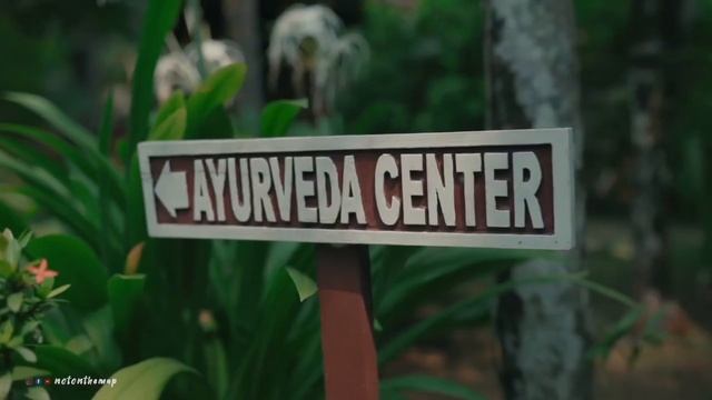 Панчкарма в клинике Nattika Beach Ayurveda в Индии, Керала — рай для тела и ума.