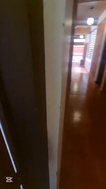 Глазами клиента новая Аюрведическая клиника Дхимахи Вилладж в Индии #аюрведа #панчакарма #йогатур .