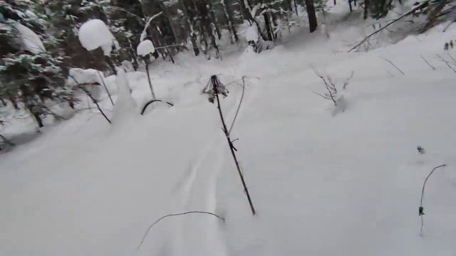 2026.01.02. Крючково. Снег 90 см, T-8°.