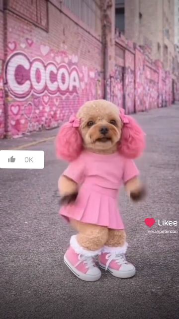 424a72c9aa8fc25bc037c17623c9bd5f