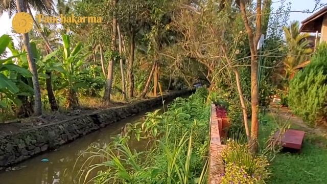 Отзыв и обзор клиники Атрея Аюрведа в Керале, Индия