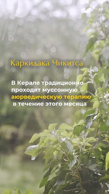МЕСЯЦ КАРКИДАКА в Индии