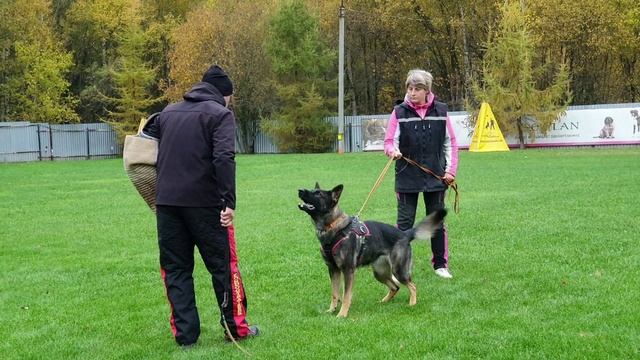 Фрай Винд Арабика, Тренинг по защите 07.10.2025