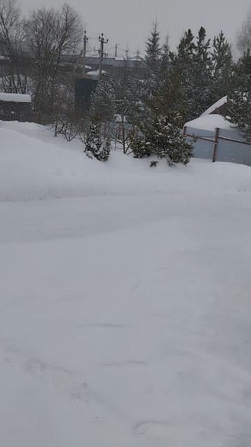 Зима под именем 