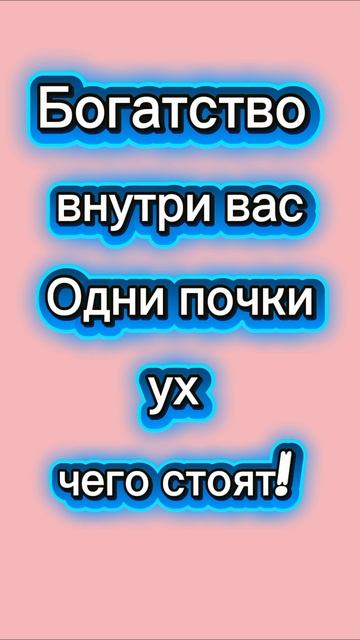 Внутреннее богатство