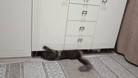 Воображуля