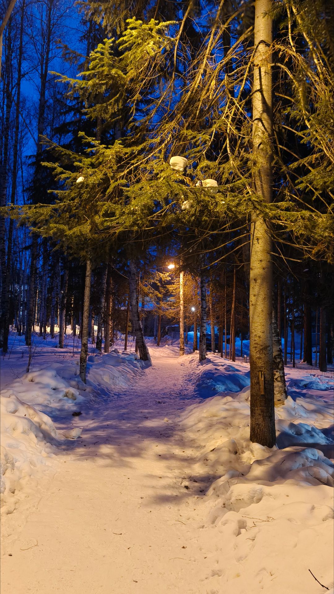 Подарки Февраля / Крайний Север
