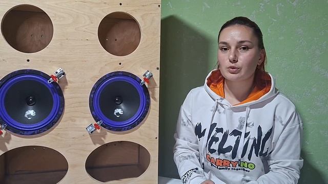 Обзор динамиков от фирмы DL AUDIO PIRANHA 200 V.2