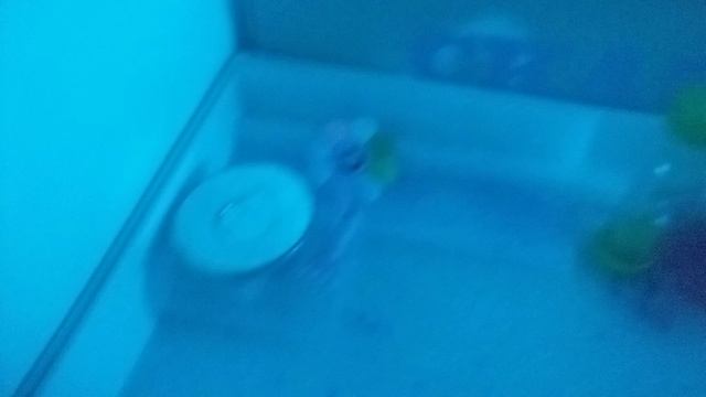 зырьте что я сделала