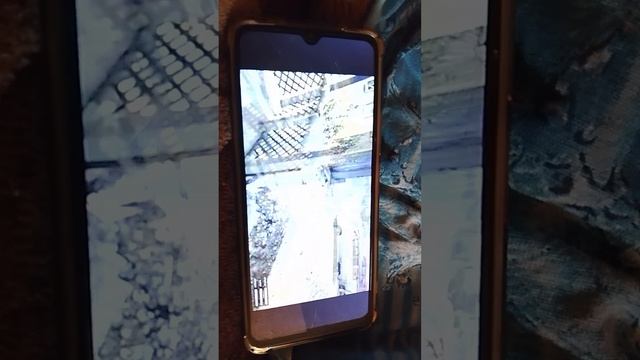 зомби апокалипсис за бездомнава в гта 5 выживание 100 дней