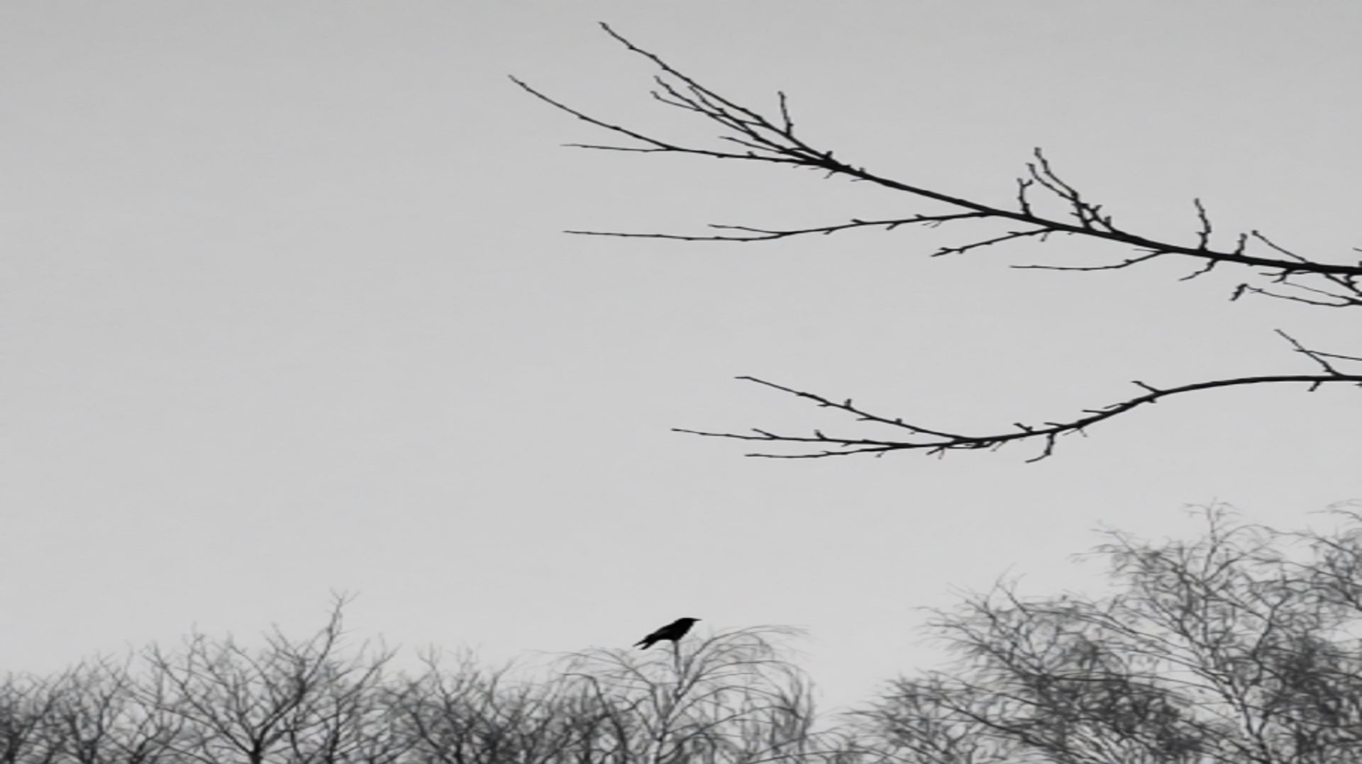 Русский Рок, Рок музыка, Топ Лучших Песен, Shadows. Лѣто: 2025