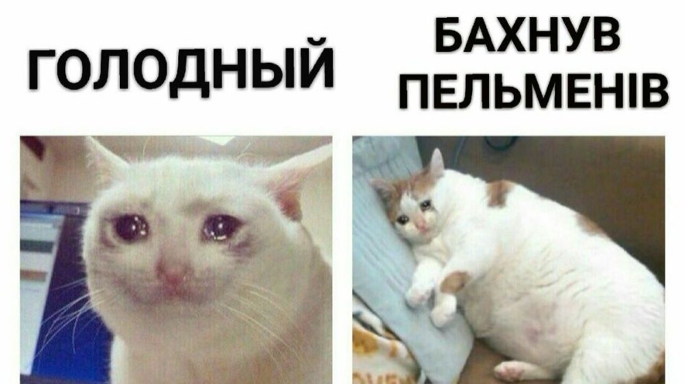 Мемы про пельмени