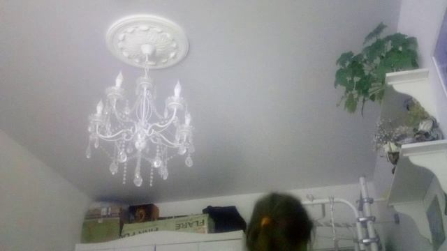 VID_20260220_154054.mp4