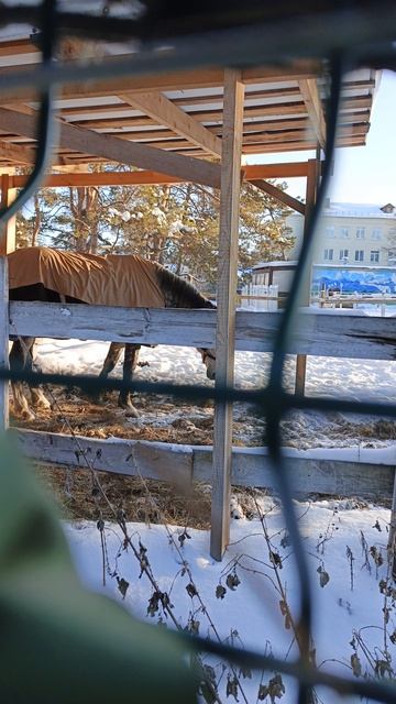 Новый символ