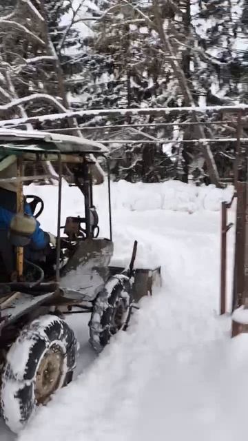 Носорог бодается со снегом