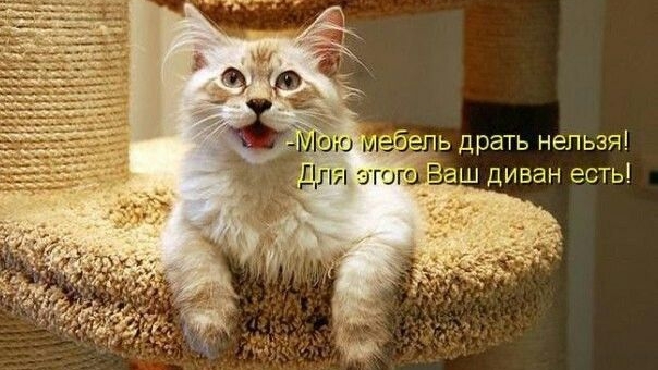 9492af7813b95e429463f0bbf6130f26