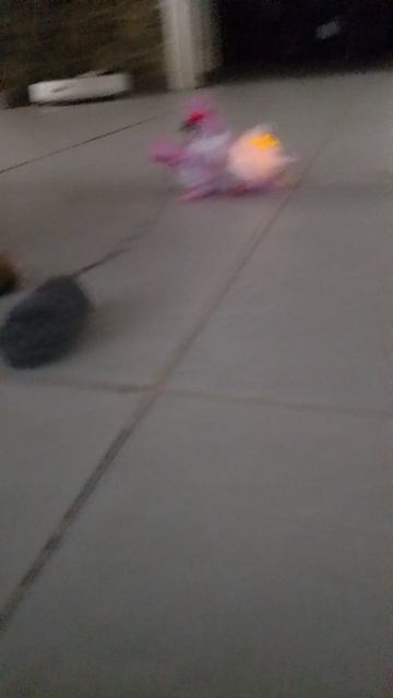 гениальная идея да кошек и можно использовать инолоба машинков на пульте управления