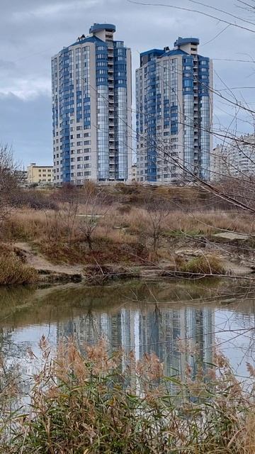 Осень на городском пруду.