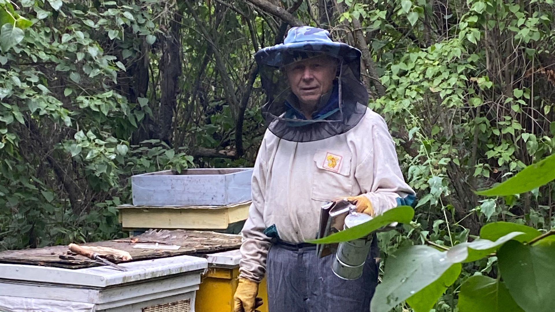 На пасеке-песня на стихи Виктора Глазунова, муз.оформление Нины Шеменковой, г.Пенза. Фото автора.