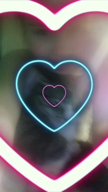 я с котом для любимца