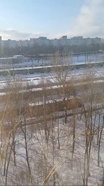 торговое поезд едит  Москва