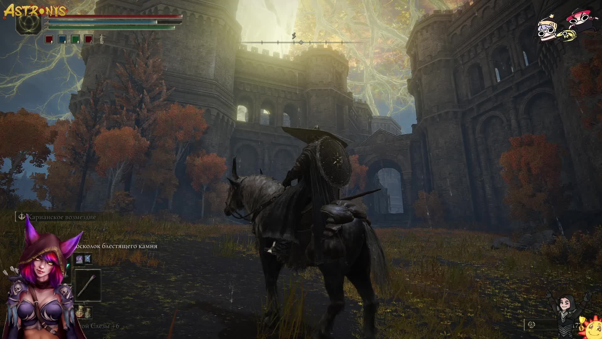 🌟Comfy Stweam ☄