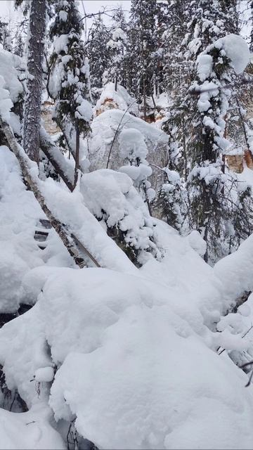 Смотровая площадка Голубино