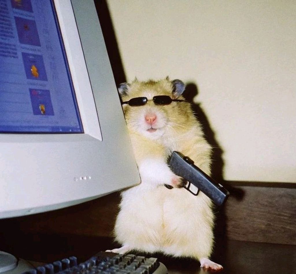 E0fdee0887dcc02a66a2764dc6f1d3d7