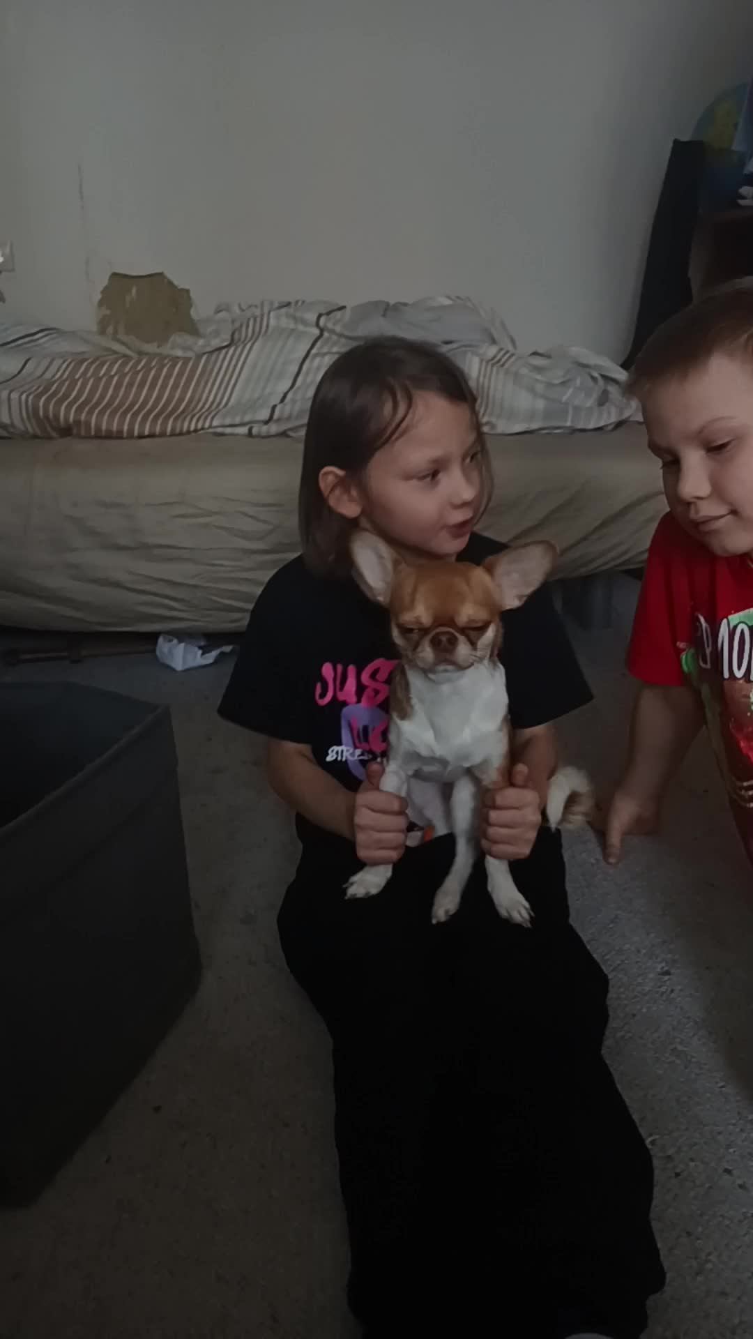 E204d0245bc2141f940dc88d26d4a8b9